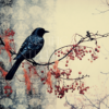 Black Bird and Red Berries
